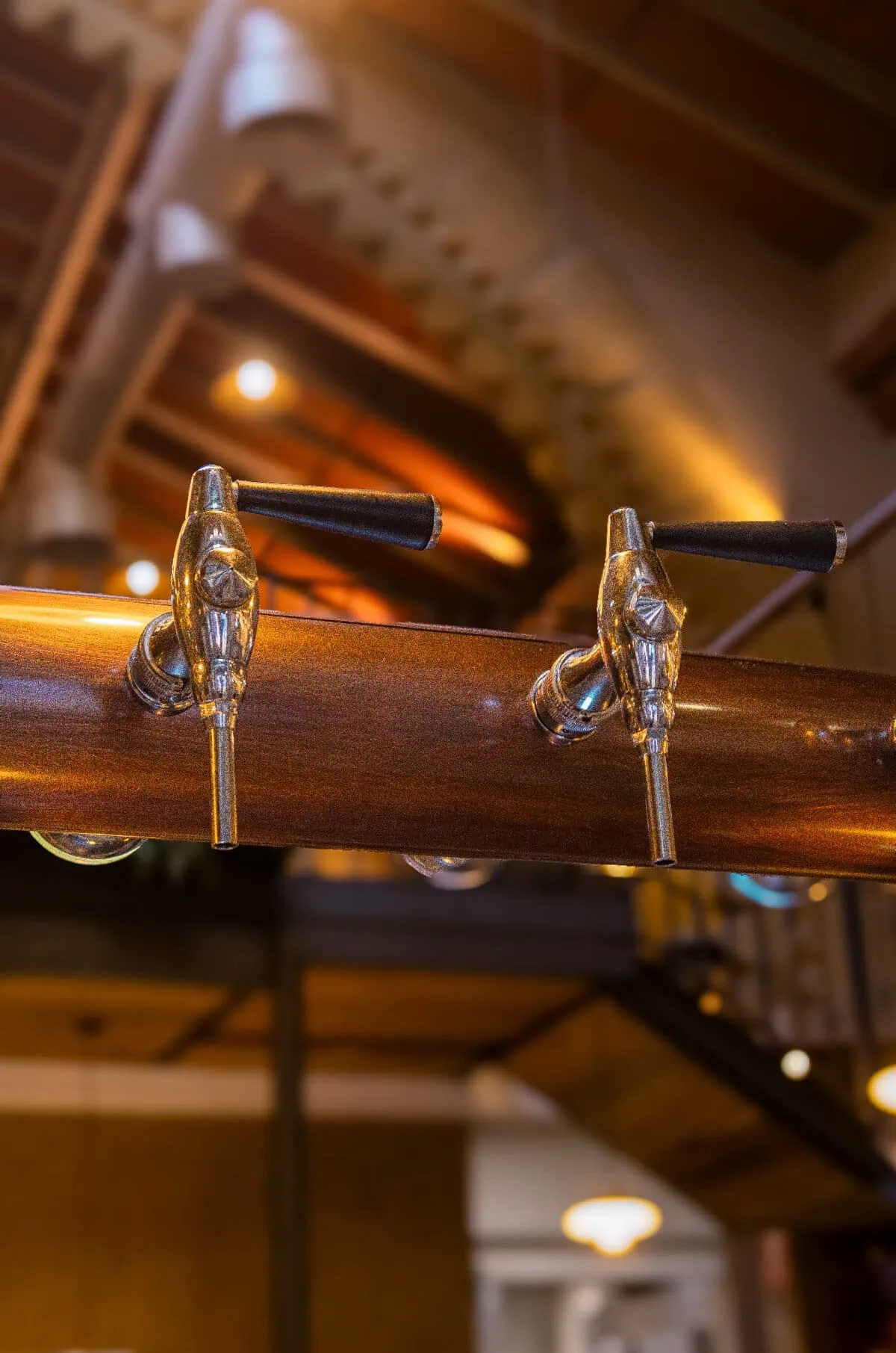 Tiradors de cervesa sota la coberta de bigues